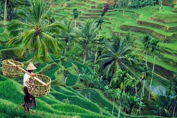 All inclusive Ubud private tour 