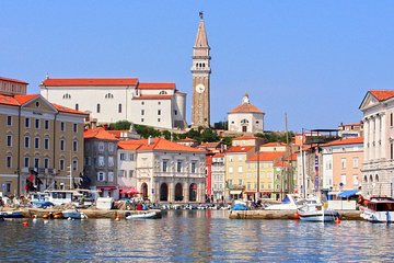 Piran and Scenic Slovenian Coast- Private Experience from Koper