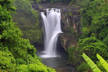 Best Of Ubud: UNESCO Rice Terraces, Monkey Forest & Waterfall Tegenungan