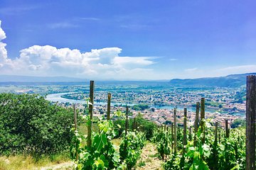 Northern Rhône Valley Day Tour with Wine Tasting from Lyon