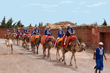 2 Hours Camel Ride in The Famous Marrakech Palm Groves and Berber Villages