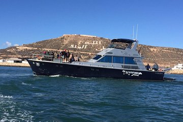 Agadir Boat Trip With Lunch