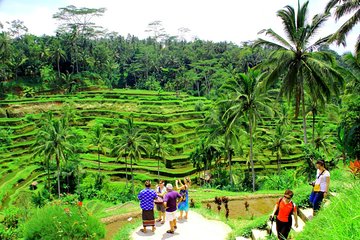 Best of Bali Tour - All Inclusive