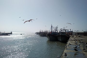 Day trip to Essaouira