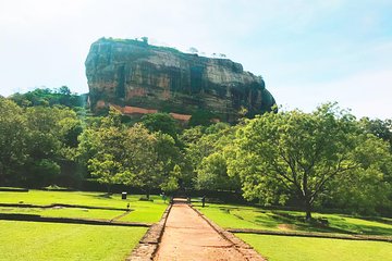 Private day tour to Sigiriya and Dambulla from Negombo