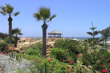 Full day Alexandria
