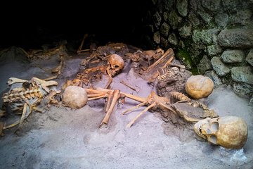  Herculaneum Private Walking Tour