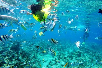 Puerto Plata Shore Excursion, Snorkeling tour & Sosua Beach Day