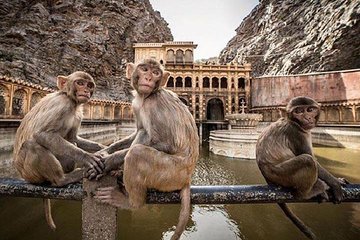 Jaipur Tour By Car & Guide - Private Full Day Sightseeing with Tickets