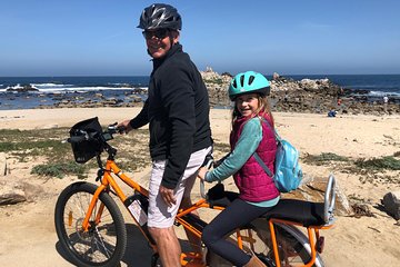 2.5-Hour Electric Bike Tour Along 17 Mile Drive of Coastal Monterey