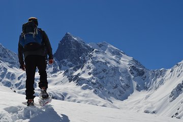 Private Andean Snowshoeing, Carbon Neutral