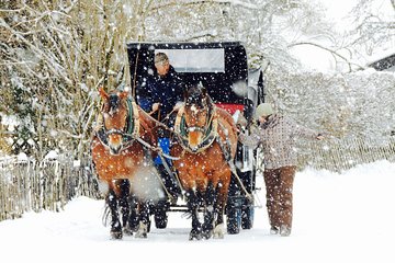 Horse Carriage Tour of Garmisch-Partenkirchen 