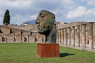 Pompeii & Herculaneum Private Full Day Trip From Naples