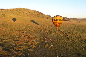 Exclusive Safari Flight