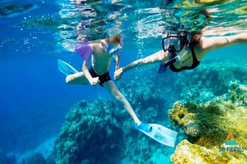 Adventure Snorkeling Tour To Ras Mohamed By Bus group tour