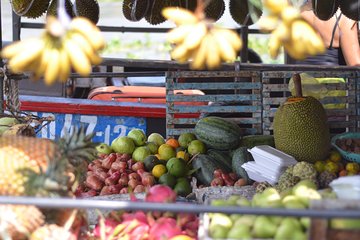 Private Mekong Delta tour to Cai Be – Tan Phong island full day