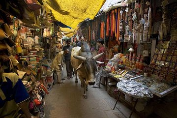 Varanasi Unveiled: An Introductory Walk