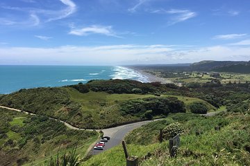 Muriwai Scenic Wine Tour from Auckland