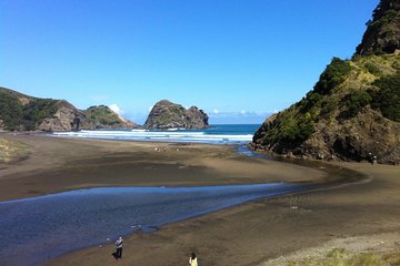 Piha Waitakere Rainforest Wine Tour from Auckland