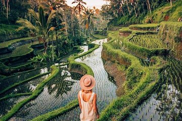 Ubud Day Trip with Private & Friendly Driver