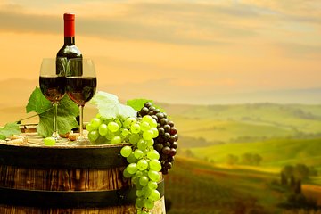 Private Chianti Tour Half Day 2 Wineries & Lunch in Tuscan Hills