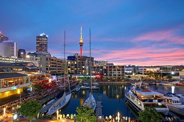 [Stevong Travel] Auckland Highlight Halfday City Tour