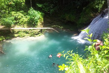 Falmouth Dunns River Falls and Blue Hole Excursion