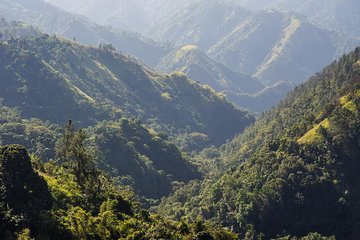 Jamaica Blue Mountain Guided Nature Tour