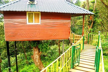 Private 4-Day Tour of Munnar Tree House and Aleppey with Houseboat Cruise