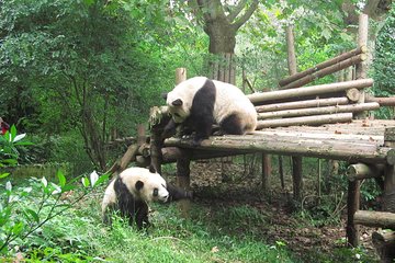 16-Day Private China Essence Tour with Yangtze River Cruise