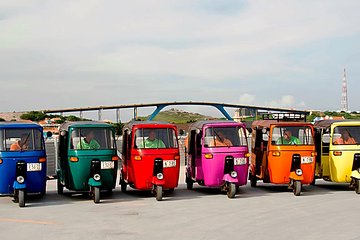 2-Hour TukTuk Rental with an Experienced Guide and Driver