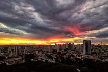 São Paulo Like a Local Customized Private Tour
