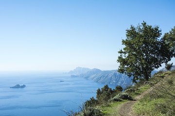 Path of the Gods Hiking Day Tour from Sorrento