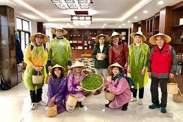 1-day Village Tea Picking, Roasting & Serving Guided Private Tour from Hangzhou 