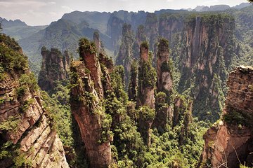 Private Day Trip: Zhangjiajie National Forest Park And Tianzi Mountain