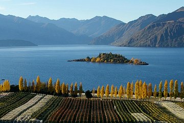 Wine Tour with Wine Tasting from Wanaka