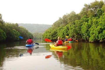 Goa Kayaking in Spike's River