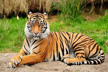 Private Day Trip to Central Zoo at Jawalakhel