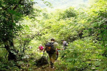 Ba Be National Park trekking tour 3 days