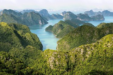 2-day explore Cat Ba Island - Visiting Monkey Island & Cat Ba National Park