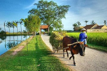 Duong Lam Ancient Village full day tour from Hanoi & experiencing local life