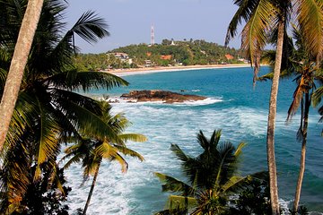 8 Day Private Sri Lanka Tour: Safari, Whale Watching & More