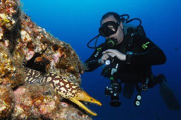 Guided Boat Dives for Certified Divers