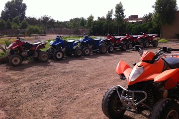 quad biking and camel ride in Marrakech palmerie