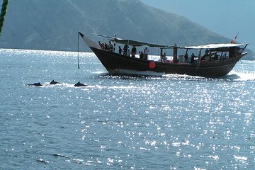 Dolphin Watching Cruise from Muscat