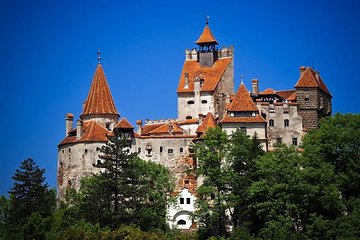 Castles of Transylvania: Private Day Trip from Bucharest