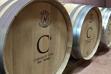 Visit to Eco Winery Cortijo El Cura and wine tasting in Spanish