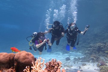 Daily 2 Dives with Equipment from Hurghada