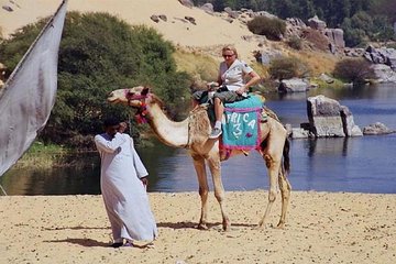 4 Hours Private Safari by Camel, Aswan 