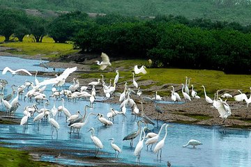 3-Day Tour Exploring Tropical Forests and National Parks in Northern Vietnam from Hanoi